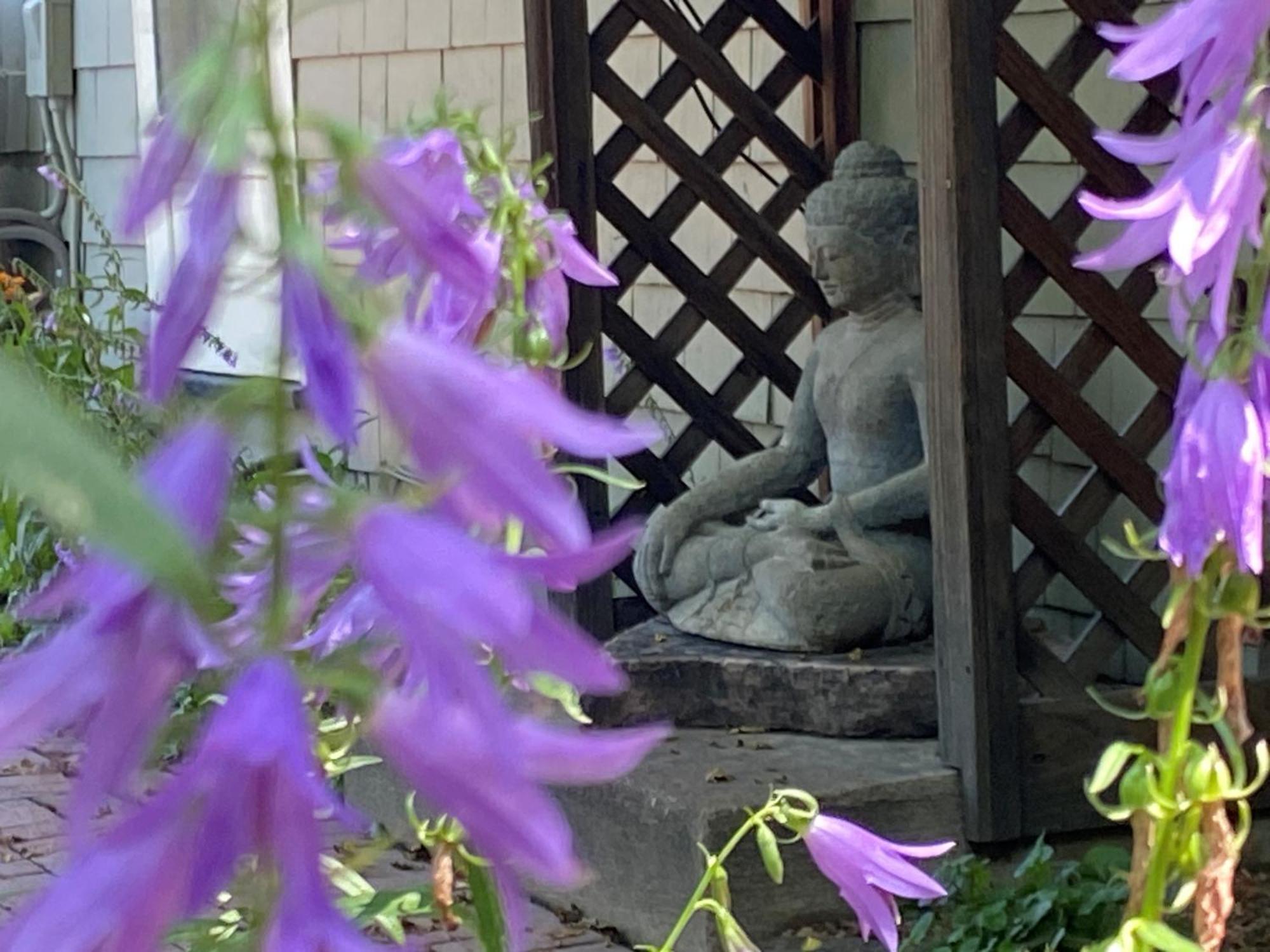 Boulder Guest House ภายนอก รูปภาพ